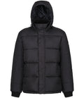 Regatta Northdale Insulated Jacket — Black